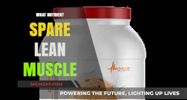 How to Protect Your Muscle: Nutrient Secrets