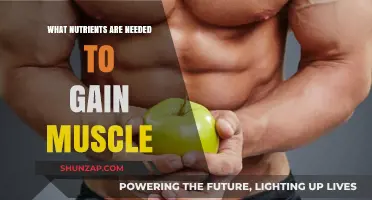 Essential Nutrients for Effective Muscle Gain and Strength Building