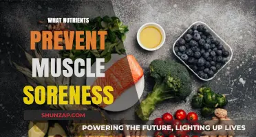 Muscle Recovery: Nutrients to Prevent Soreness