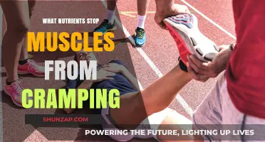 Essential Nutrients to Prevent Muscle Cramps: A Comprehensive Guide