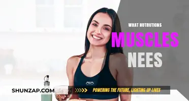 Muscle Nutrition: What Your Body Needs to Grow