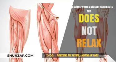 Muscle Contractions Without Relaxation: Causes, Symptoms, and Treatment Options