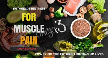 Best Omega-3 Brands to Relieve Muscle Pain and Inflammation