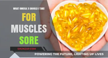 Best Omega-3 Supplements to Relieve Muscle Soreness and Enhance Recovery