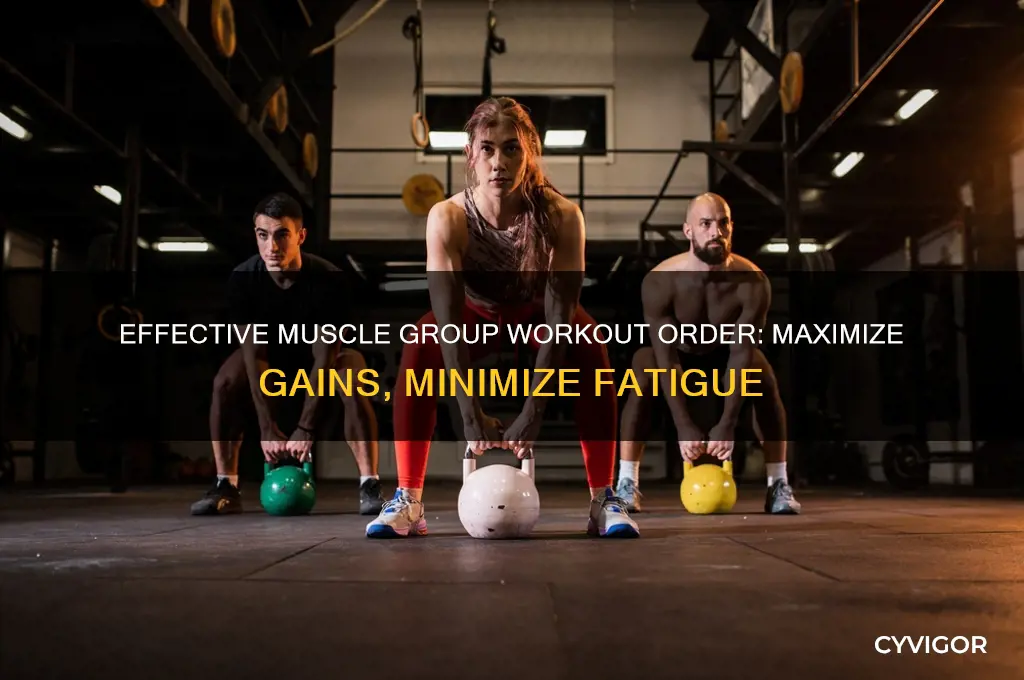 what order should i work my muscles