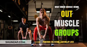 Effective Muscle Group Workout Order: Optimize Your Training Routine