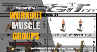 Effective Muscle Group Workout Order: Maximize Gains and Recovery