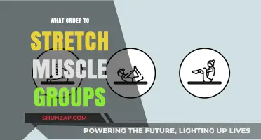 Effective Stretching Sequence: Optimal Order for Muscle Groups to Enhance Flexibility