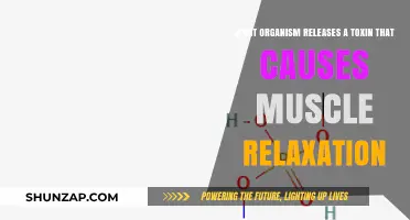 Muscle Relaxation Toxin: Unveiling the Organism Behind Its Release