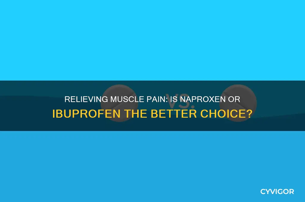 what os better for muscle pain laeve or ibprofin