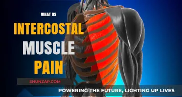 Understanding Intercostal Muscle Pain: Causes, Symptoms, and Relief Strategies