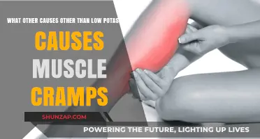 Beyond Potassium: Uncovering Surprising Triggers of Muscle Cramps