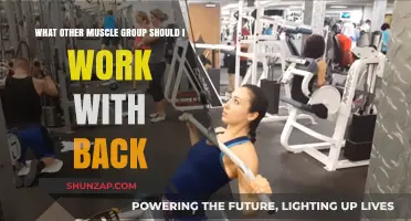 Pairing Back Workouts: Best Muscle Groups to Train Together