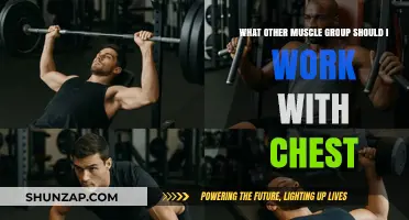 Maximize Chest Workouts: Pairing with Triceps, Shoulders, or Back Muscles