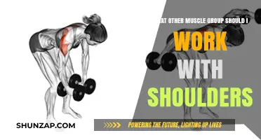 Pairing Shoulder Workouts: Best Muscle Groups for Balanced Strength Training