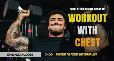 Maximize Chest Day: Best Muscle Groups to Pair for Optimal Results