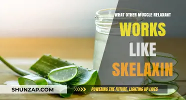 Effective Skelaxin Alternatives: Exploring Muscle Relaxants for Pain Relief