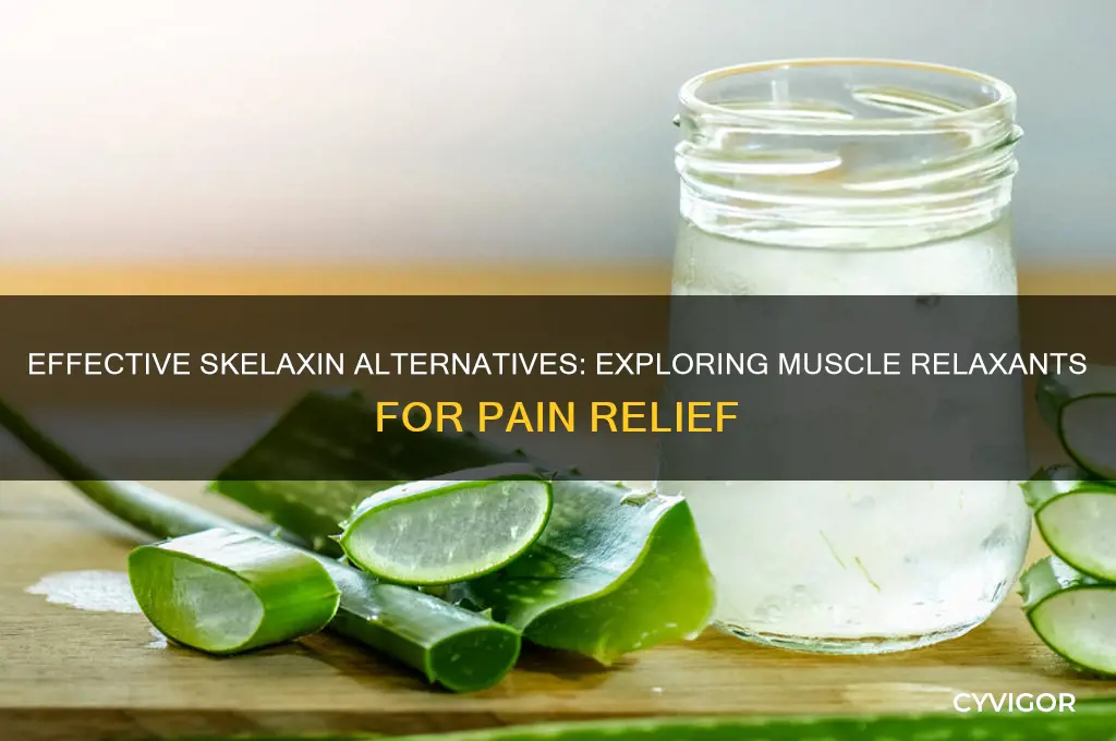what other muscle relaxant works like skelaxin