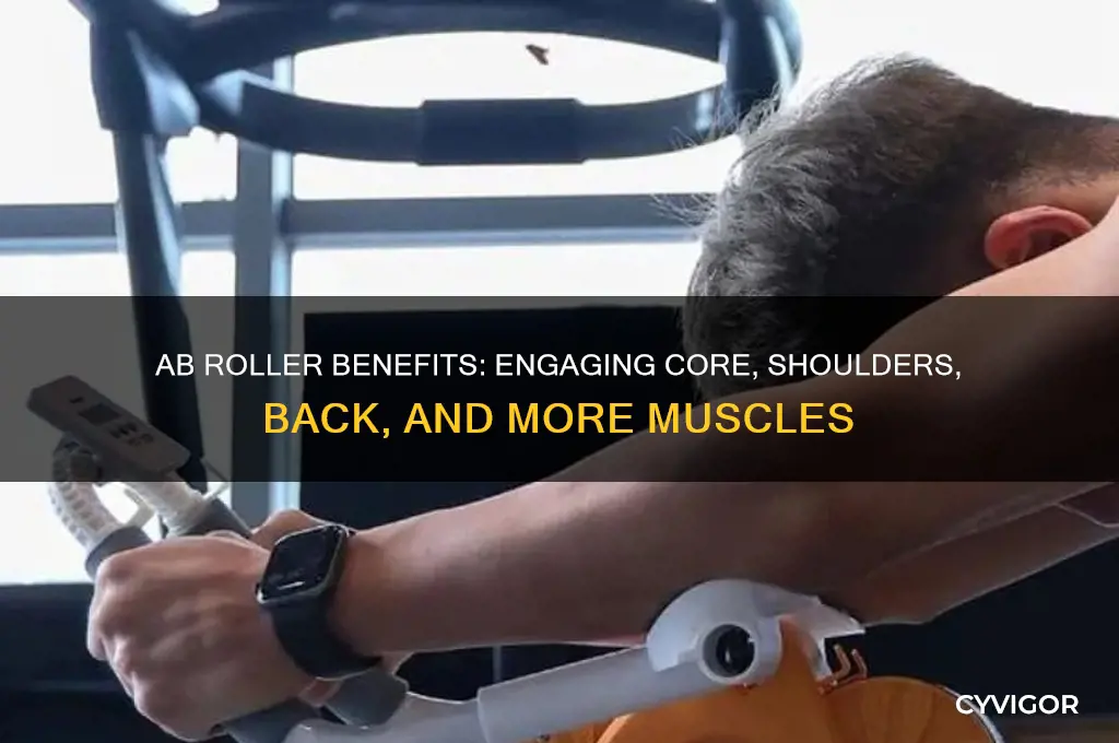 what other muscles are worked with an ab roller