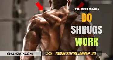 Beyond Traps: Discover the Hidden Muscles Activated by Shrugs