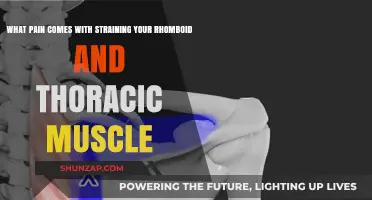 Strained Rhomboid and Thoracic Muscles: Understanding the Pain and Recovery