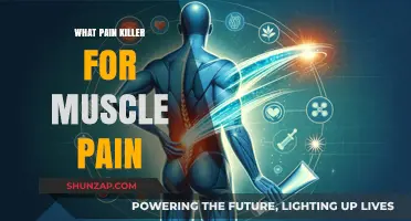 Effective Pain Killers for Muscle Pain: A Comprehensive Guide
