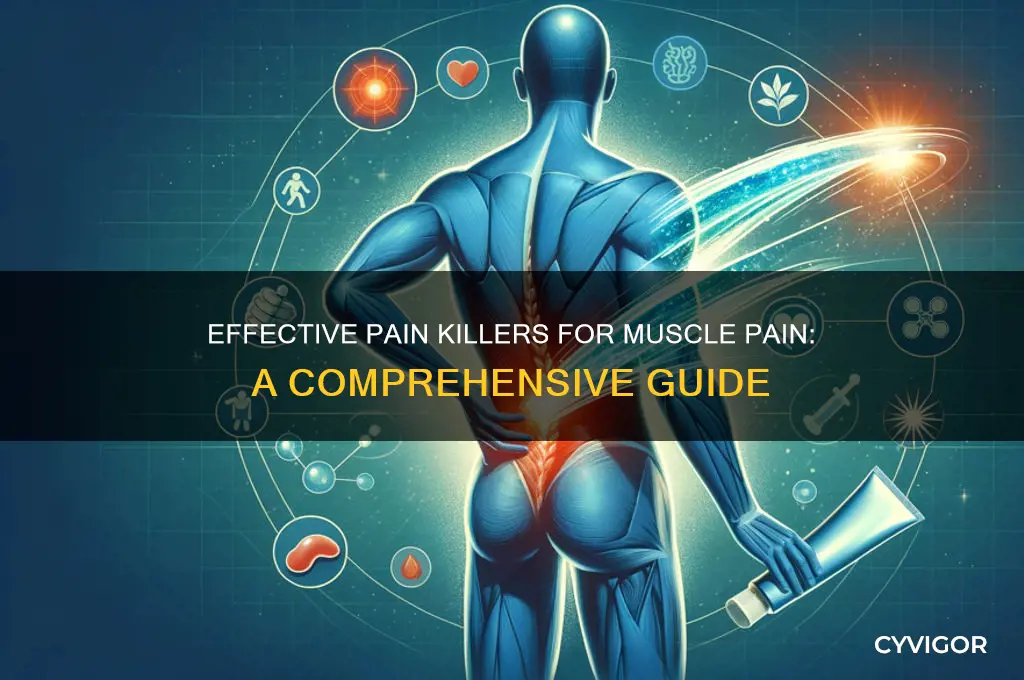 what pain killer for muscle pain