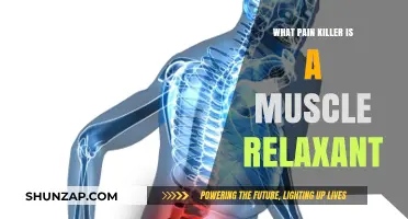 Muscle Relaxant Pain Killers: Uncovering Dual-Action Relief Options