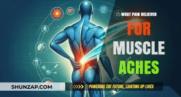 Effective Pain Relievers for Muscle Aches: Best Options and Tips