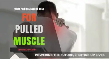 Best Pain Reliever for Pulled Muscles: Effective Options and Tips