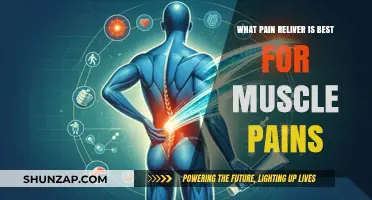 Effective Pain Relief: Top Muscle Pain Relievers Compared and Reviewed