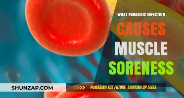 Parasitic Infections Linked to Muscle Soreness: Uncovering the Culprit