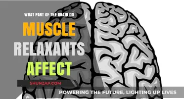 How Muscle Relaxants Interact with the Brain's Motor Control Centers