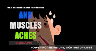 Uncovering Pathogens Behind Fatigue, Fever, and Muscle Aches: A Comprehensive Guide