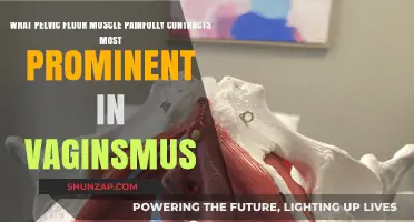 Understanding Vaginismus: The Painful Pelvic Floor Muscle Contraction Explained