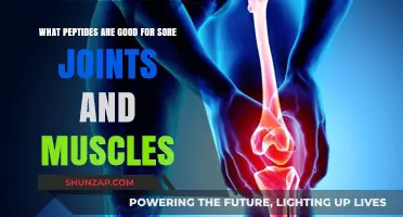 Effective Peptides for Relieving Sore Joints and Muscle Discomfort