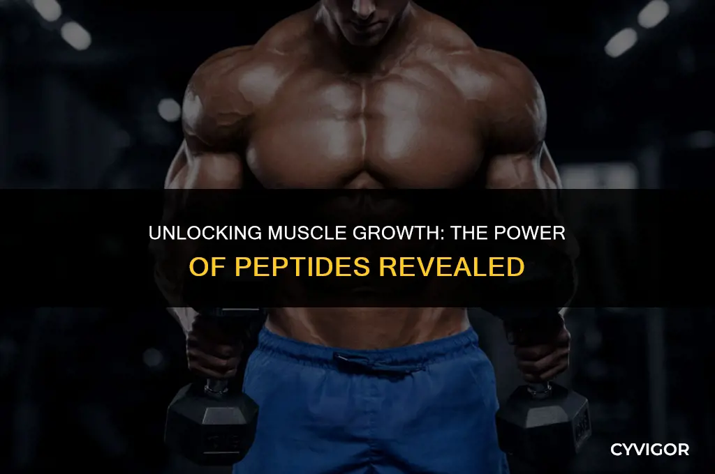 what peptides build muscle