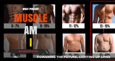 Understanding Your Muscle Composition