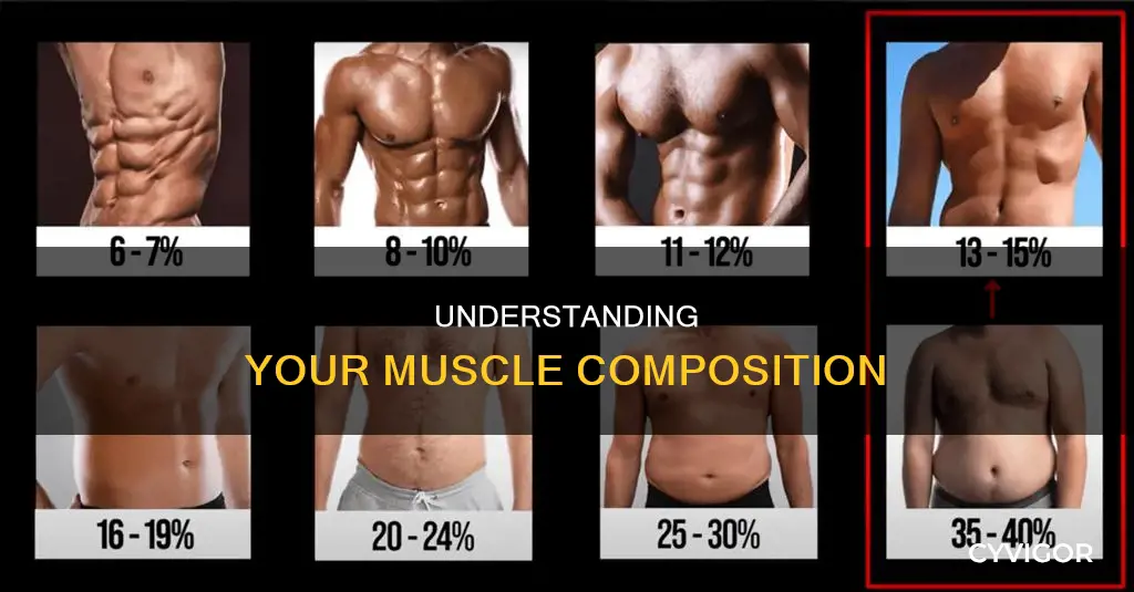 what percent muscle am i