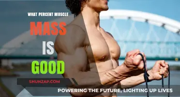 Optimal Muscle Mass Percentage: What's Healthy and Achievable?