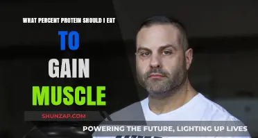 Optimal Protein Intake for Muscle Gain: Finding Your Perfect Percentage