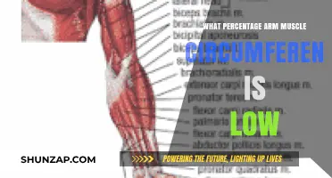 Understanding Low Arm Muscle Circumference: Percentage and Health Implications