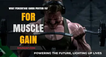 Optimal Macronutrient Ratio for Muscle Gain: Carbs, Protein, Fat