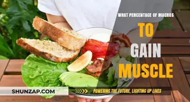 Optimal Macro Percentages for Effective Muscle Gain: A Comprehensive Guide