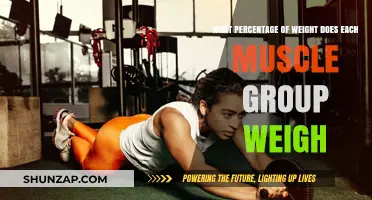 Muscle Group Weight Distribution: Understanding Your Body's Composition