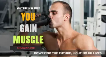 Effective Muscle-Building Pills: Safe Supplements for Strength and Growth
