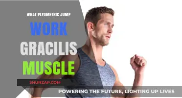 Plyometric Jumps: How They Engage and Strengthen Your Gracilis Muscle