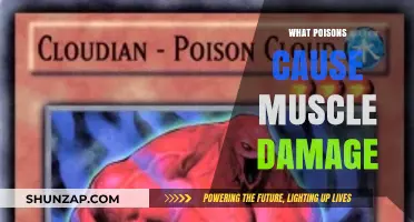 Toxic Threats: Poisons That Lead to Severe Muscle Damage Explained