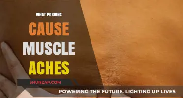 Unveiling Toxins That Trigger Persistent Muscle Aches and Discomfort