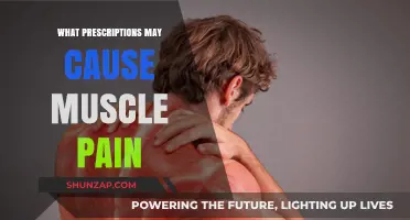 Prescription Medications Linked to Muscle Pain: What You Need to Know